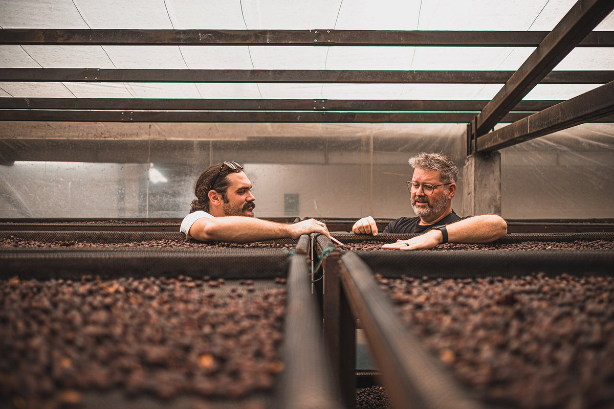 Quills Coffee | Fresh Roasted | Coffee that connects people