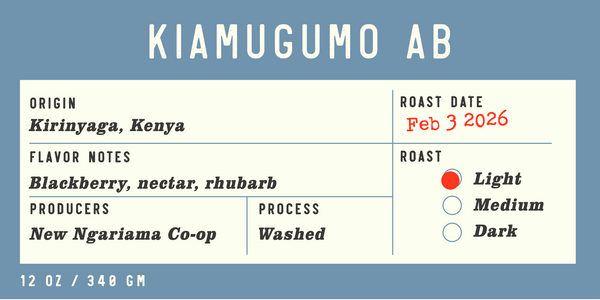 Kenya | Kiamugumo - Quills Coffee