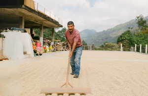 Guatemala | Guayabales